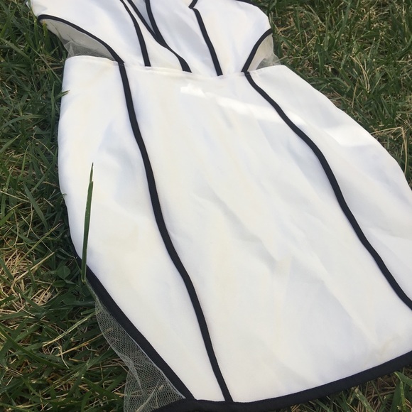 New Black & White Tobi stretch Midi Dress W/Mesh - Picture 3 of 8